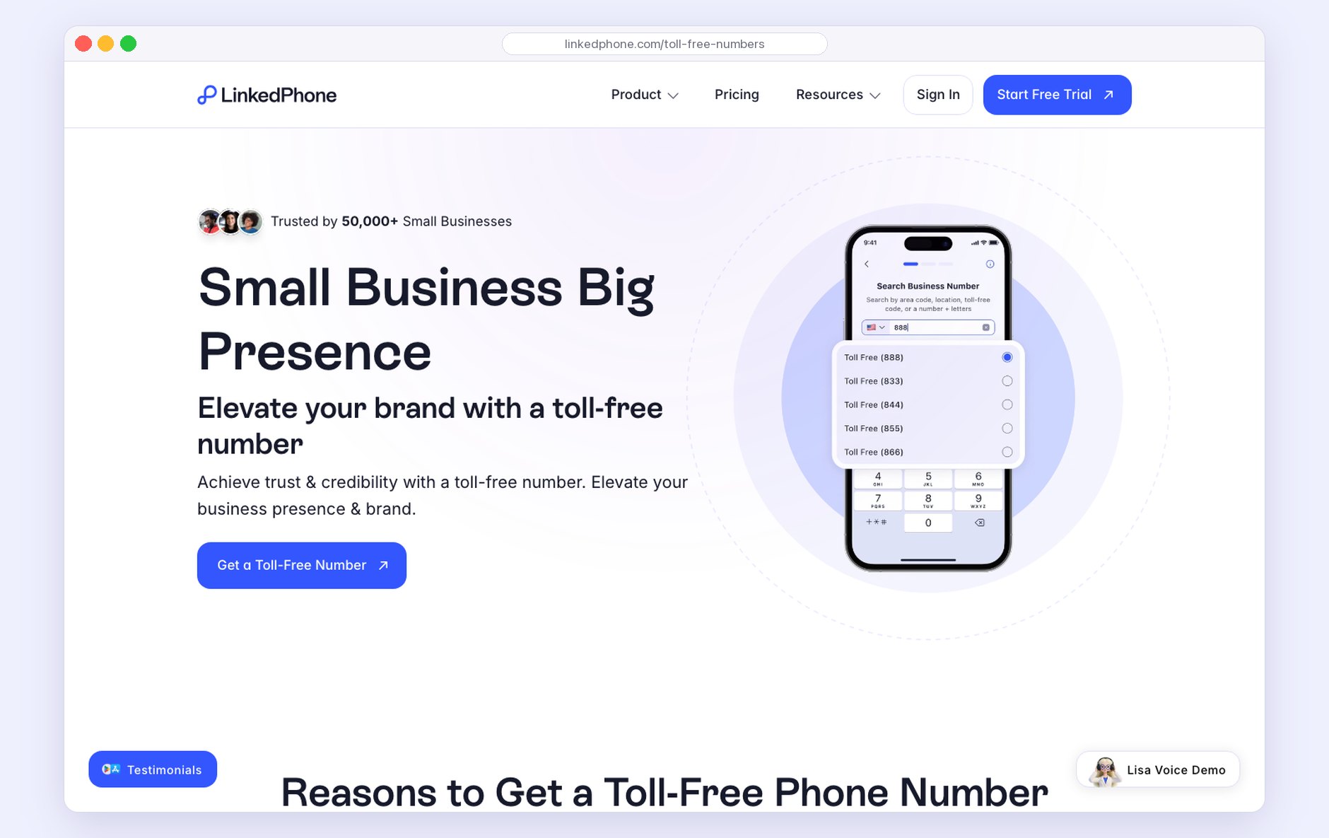 The Toll-Free Numbers page: Small Business, Big Presence.